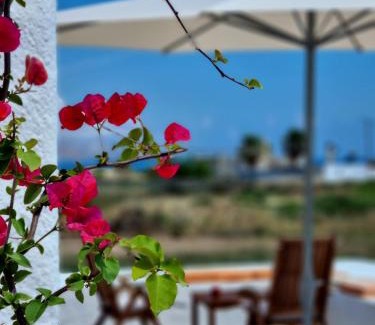 Trachilos House | All Season Lovely Seafront Cottage
