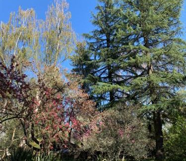 Salto del Laja Cabin | Alma Sur Lodge