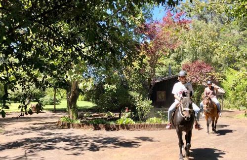 Salto del Laja Cabin | Alma Sur Lodge