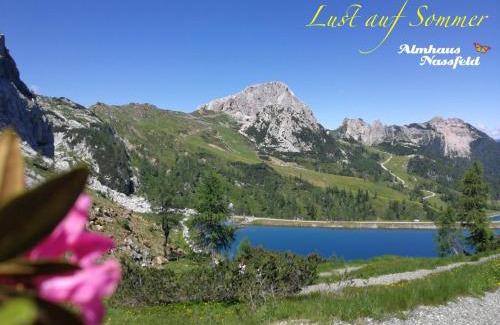 Sonnenalpe Nassfeld Apartment | Almhaus Nassfeld