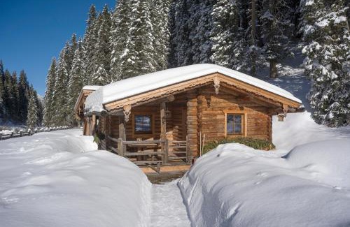 Hochfugen Apartment | Almnest in Hochfügen mit privat SPA