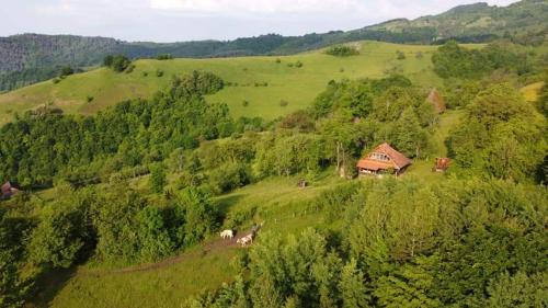 Blajeni House | Almost Heaven - cabană cu vedere în Apuseni