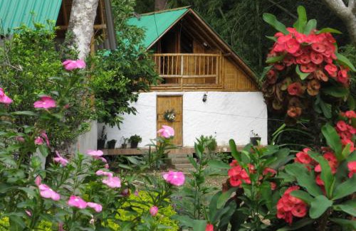 Paicol Other | Alojamiento rural Ecoparque La Motilona Paicol, Huila - Cabaña la Motilona