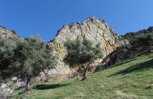 Solana del Pino House | ALOJAMIENTO TURISTICO LAS SOLANERAS
