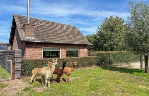 Vorstenbosch House | Alpacafarm Vorstenbosch