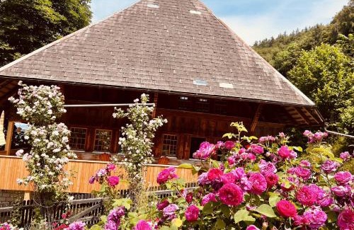 Wynigen Apartment | Alpaka-Ferienhaus Oenzlen