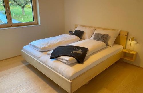 Tschagguns Apartment | AlpenApart Montafon - Alti Saga