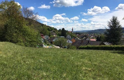 Gailingen House | Alpenpanorama am Hochrhein