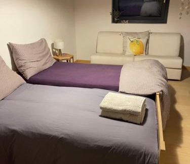 Lugnorre Hotel | Alps and Lakeview Villa with Pool