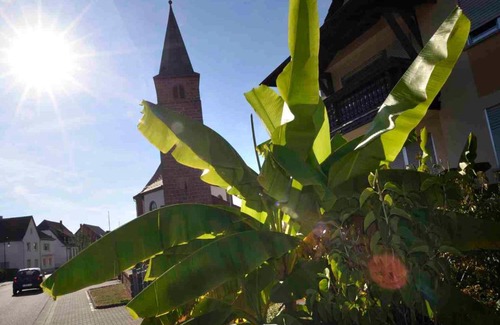 Fischbach bei Dahn Apartment | Altes Zollhaus Fischbach