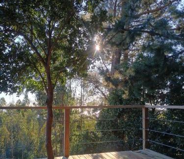 Curanipe House | Alto Curanipe