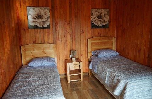 Coihueco House | Alto El Malon