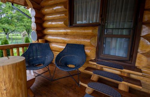 Vatra Moldovitei House | Alvi