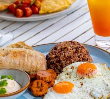 Golfito Hotel | Amaka Ocean Living Lodge