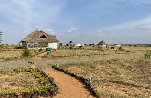 Kimana Cabin | Amanya 1- Bed Pitch Tent