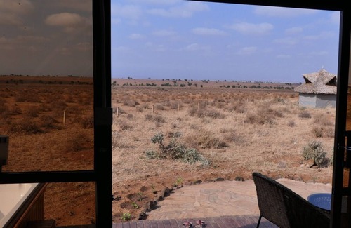 Amboseli Cabin | Amanya 2-Rooms Lioness Family