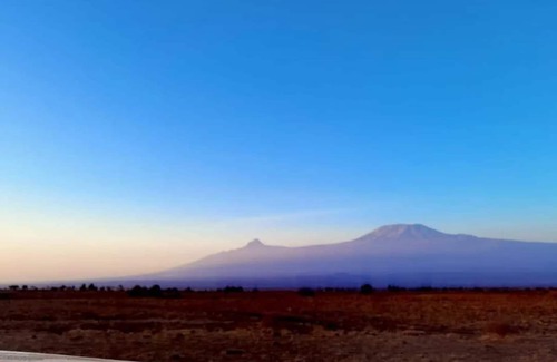 Amboseli Cabin | Amanya Star Bed Amboseli