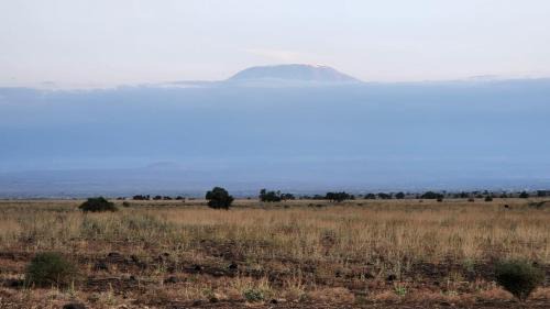 Amboseli Other | Amanya Star Bed Amboseli