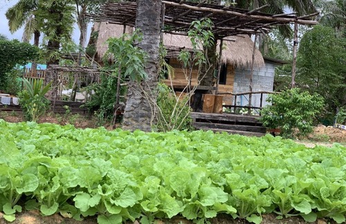 Huai Nam Khao House | Amarit Onsen Homestay