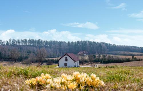 Gietrzwald House | Amazing Home In Gietrzwald With Wifi