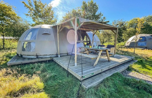 Hoogersmilde House | Amazing (sta)caravan in Hoogersmilde