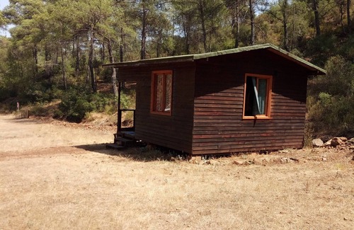 Avlana House | Amazon-Sea-Forest