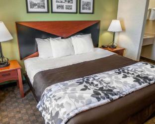 Urbana Hotel | AmericInn by Wyndham Urbana Champaign University Area