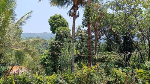 Katakeri Rural Villa | Ammavvana Kutira Home stay