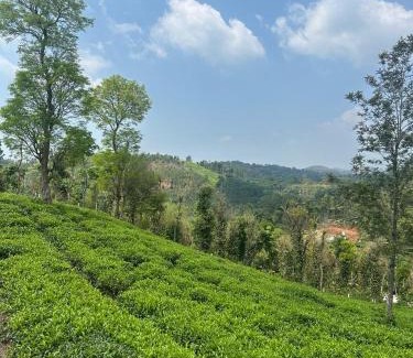 Mananthavady House | Amour Estate