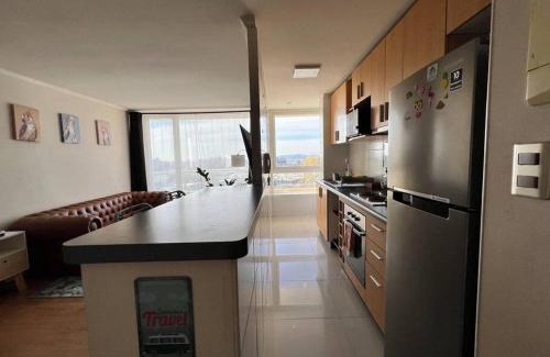 Concepcion Apartment | Amplio Departamento Parque Urbano