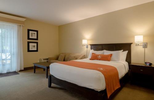Sussex Hotel | Amsterdam Inn & Suites Sussex