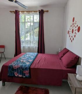Surinam House | An&Sy Family House