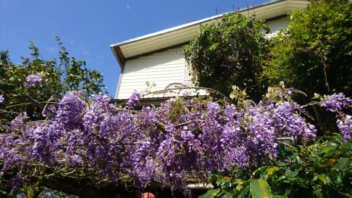 Meishan House | An Yun Mountain Homestay