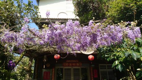 Meishan House | An Yun Mountain Homestay