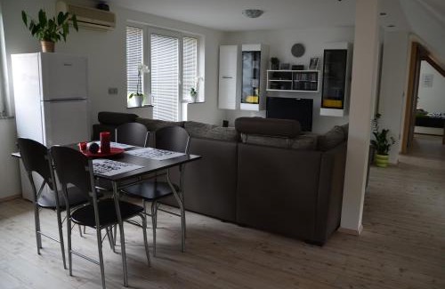Trnovlje pri Celju Apartment | Ana`s place