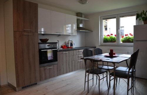 Trnovlje pri Celju Apartment | Ana`s place