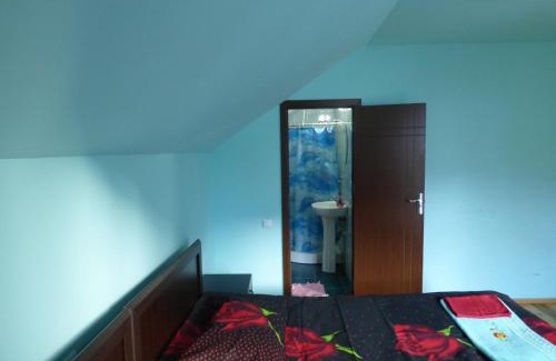 Stepantsminda House | Anano Guest House