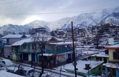 Naddi House | Anchal House
