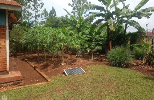 Western Region House | Andy's home stay Masindi