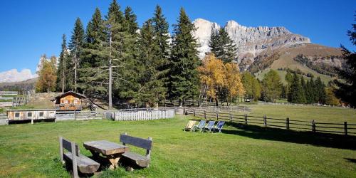 Carezza Apartment | Angerle Alm Apt Rosengarten