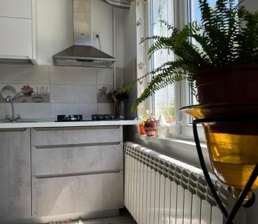 Ocna Mures Apartment | Ank's Apartment