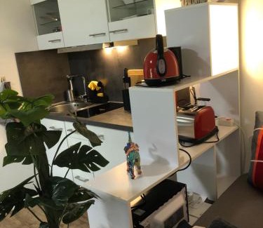 Fernesiechen Apartment | Ankes Fewo im Wohnpark Uninah in Freiberg