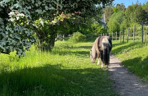 Upplands-Bro Municipality Bed & Breakfast | Annehill i Bro