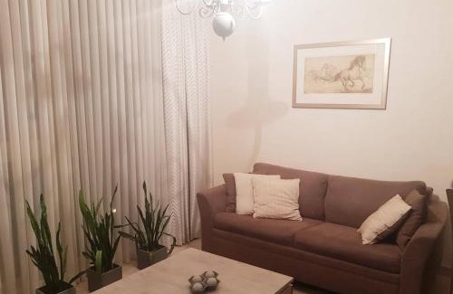 Vilnius city municipality Apartment | Antakalnis Apartment