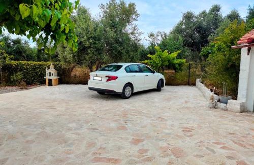 Pylos-Nestoras House | Antheia