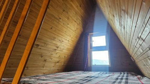 Terelj Other | Apache Eco Camp, Terelj Nationalpark Mongolia