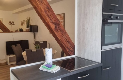 Neustadt an der Weinstrasse Apartment | Apartment 4 "Dornfelder" - Haardter winegrower