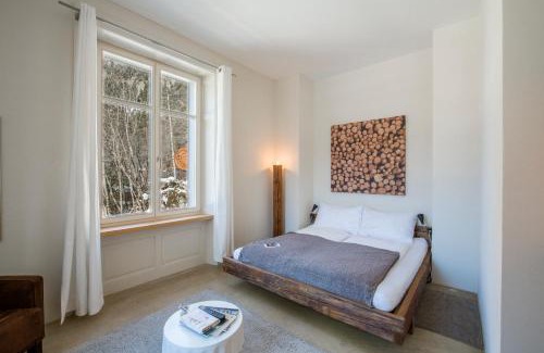 Hasliberg Hotel | Apart Hotel Wetterhorn