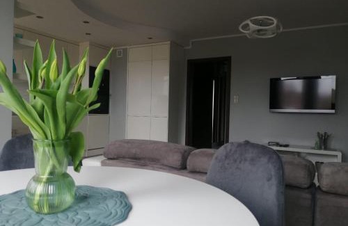 Olsztynek Apartment | Apartament 35