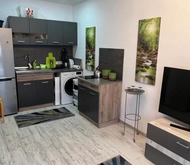 Sfantu Gheorghe Apartment | Apartament Acasa Sf.Gheorghe